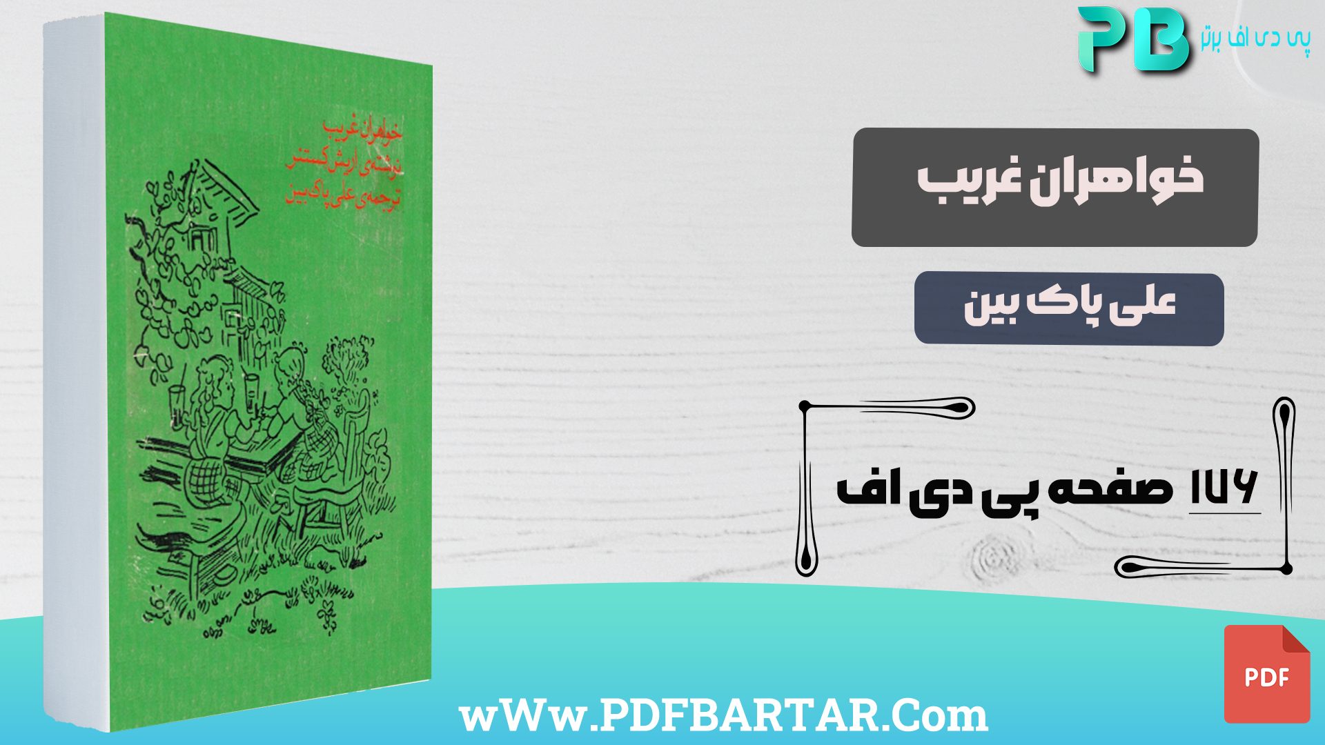 دانلود پی دی اف کتاب خواهران غریب علی پاک بین PDF - پی دی اف برتر