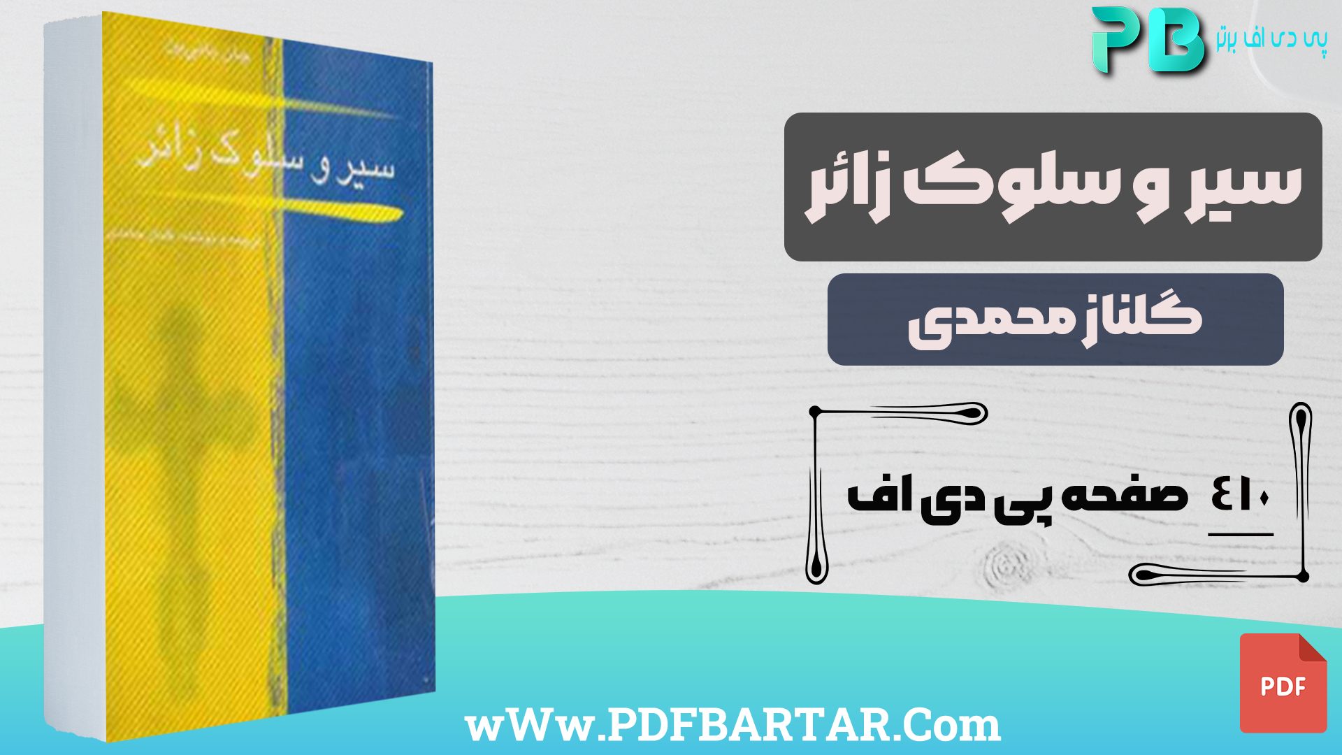 دانلود پی دی اف کتاب سیر و سلوک زائر گلناز محمدی PDF